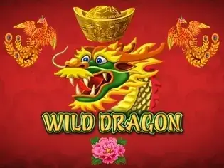 Wilddragon Cat Casino